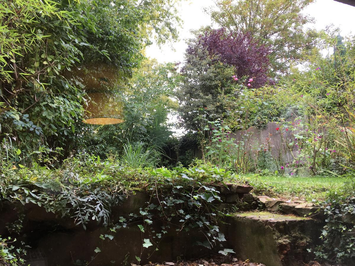 La Maison Du Bulot Fruges Bagian luar foto